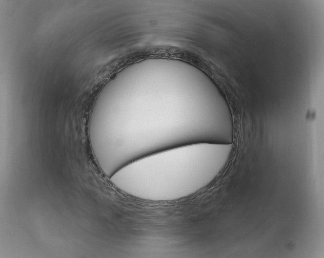 X0000112781013200908201409