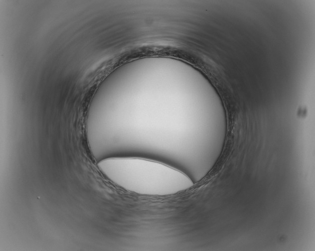 X0000112781014200908201409