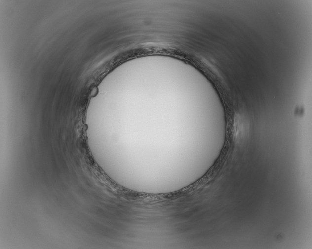 X0000112781015200908201409