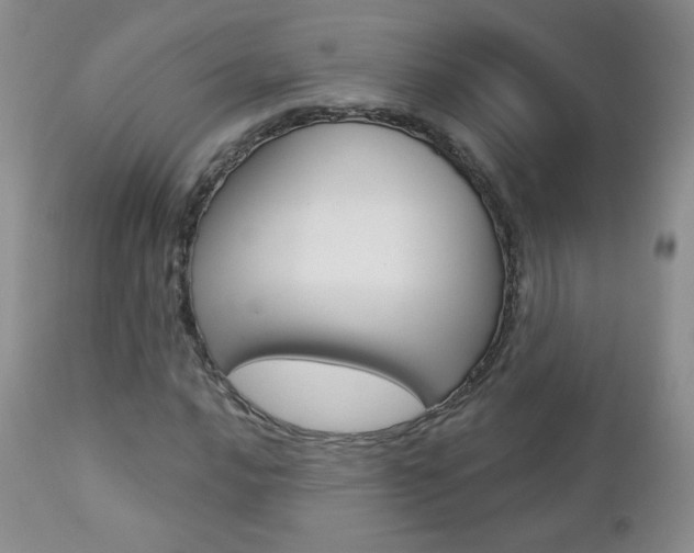 X0000112781016200908201409