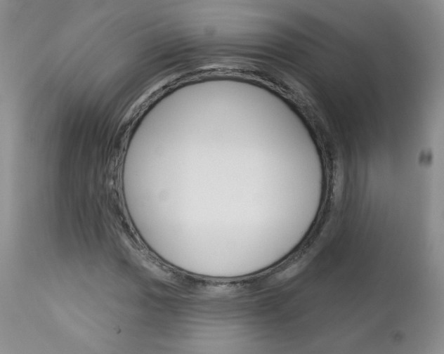 X0000112781017200908201409