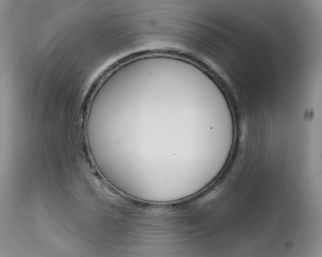 X0000112781021200908201409