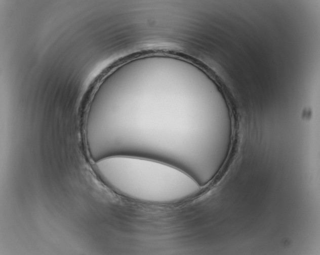 X0000112781022200908201409