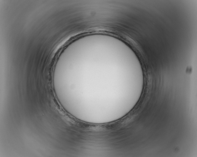 X0000112781023200908201409