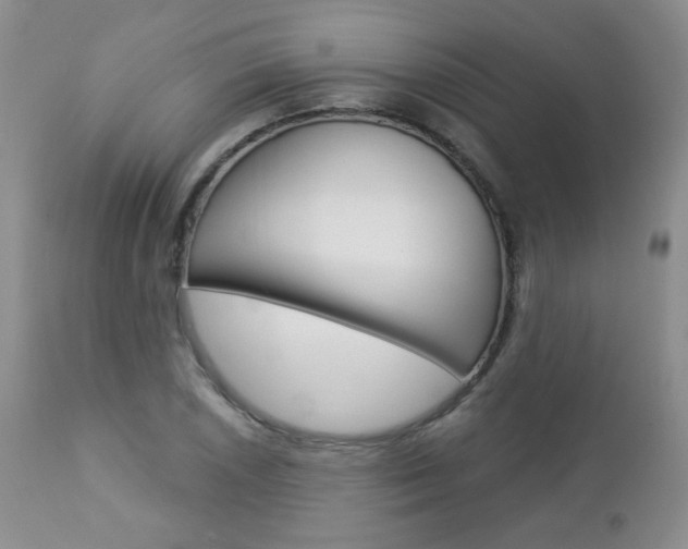 X0000112781026200908201409