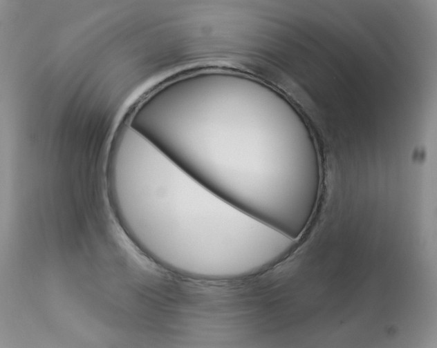 X0000112781028200908201409