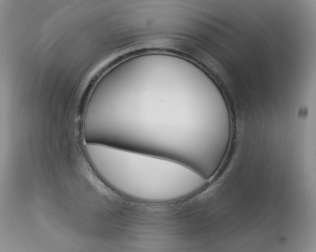 X0000112781029200908201409