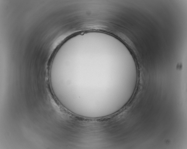 X0000112781031200908201409