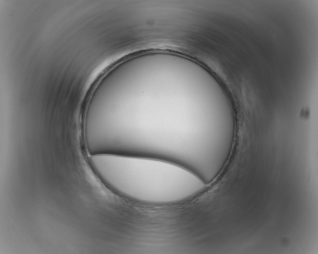 X0000112781032200908201409