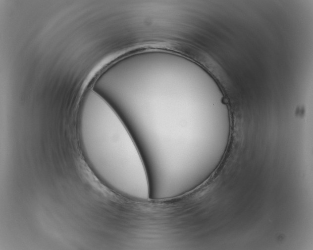X0000112781036200908201409