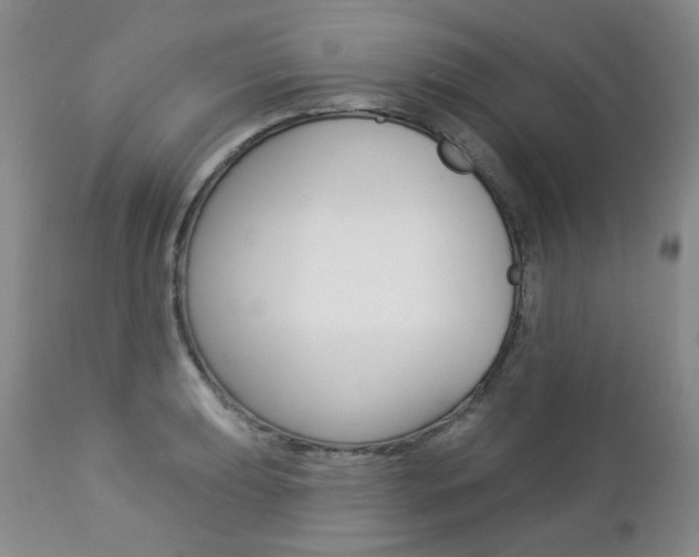 X0000112781039200908201409