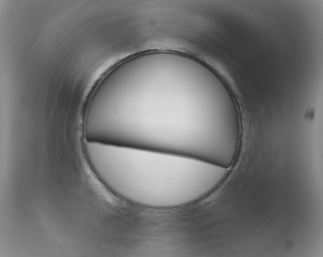 X0000112781040200908201409