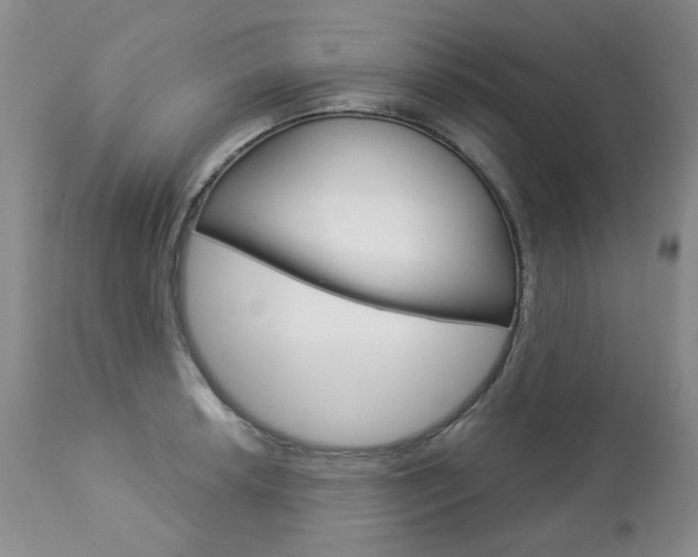 X0000112781042200908201409