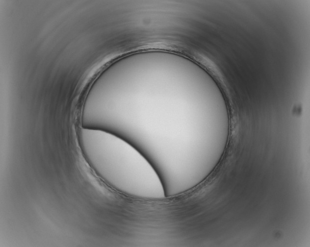 X0000112781043200908201409