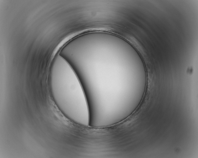 X0000112781044200908201409