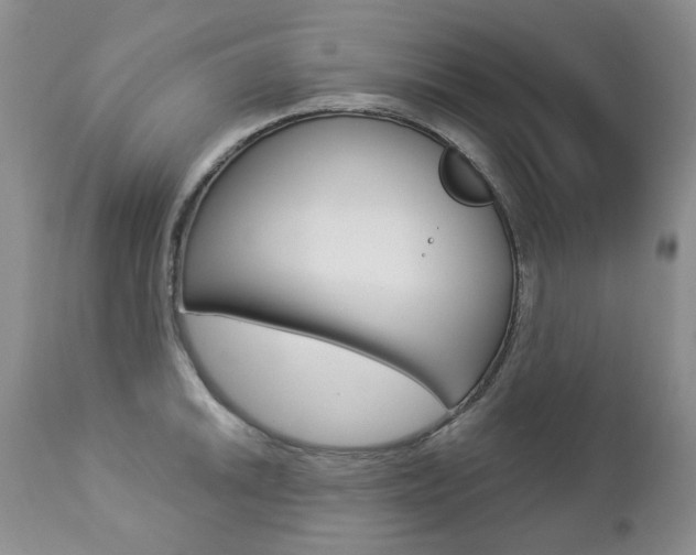 X0000112781046200908201409