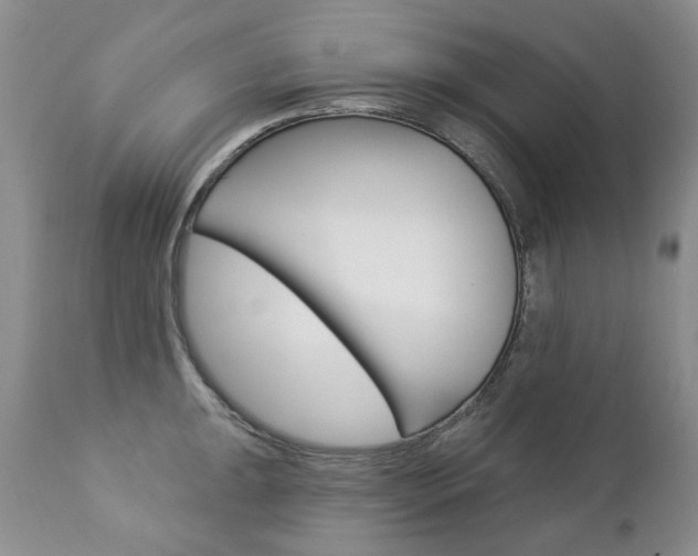 X0000112781047200908201409