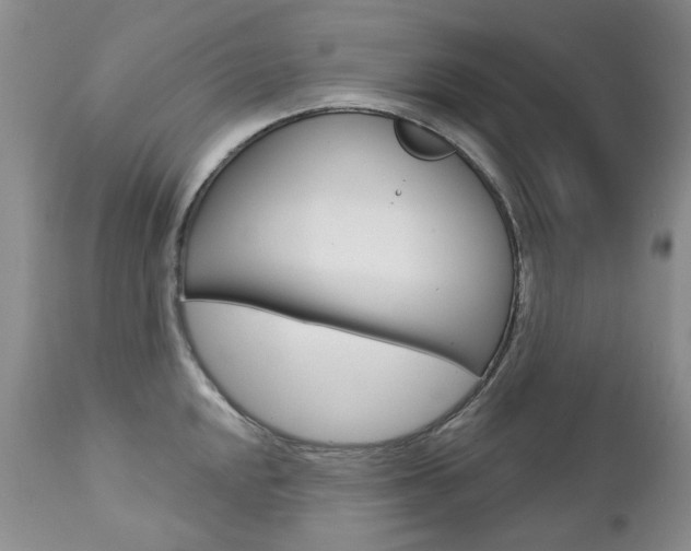 X0000112781048200908201409