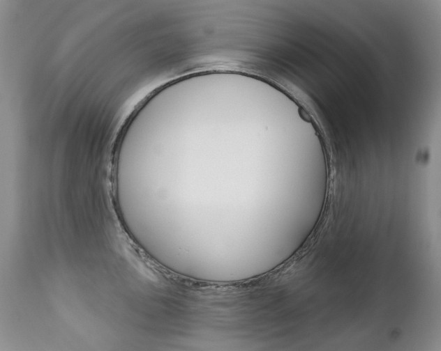 X0000112781051200908201409