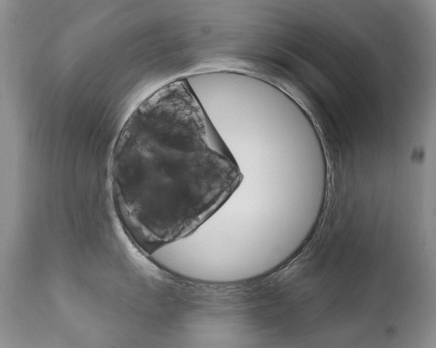 X0000112781055200908201409