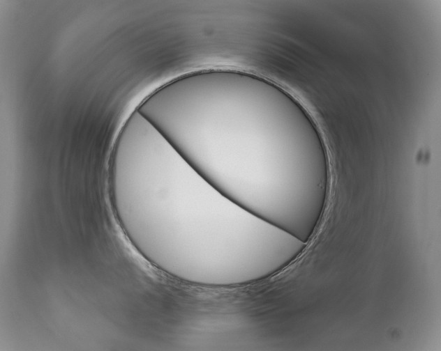 X0000112781056200908201409