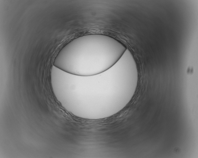 X0000112781057200908201408