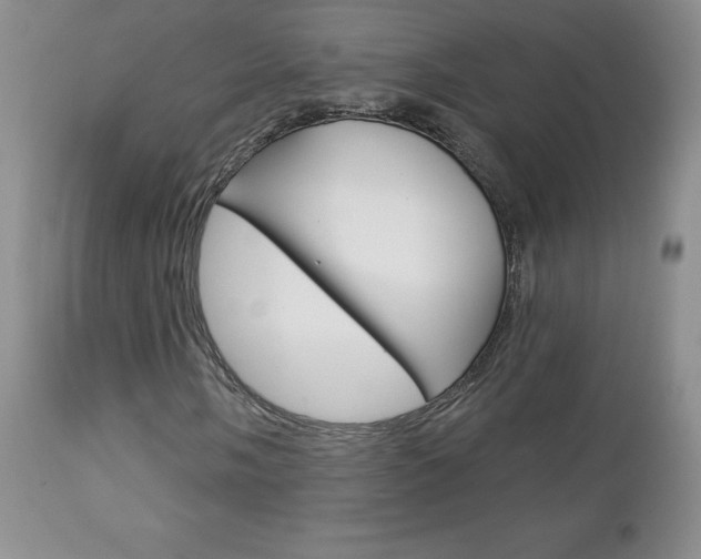 X0000112781058200908201408