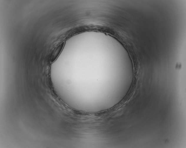 X0000112781061200908201408
