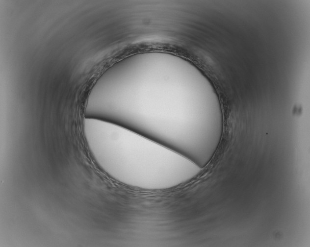 X0000112781062200908201408