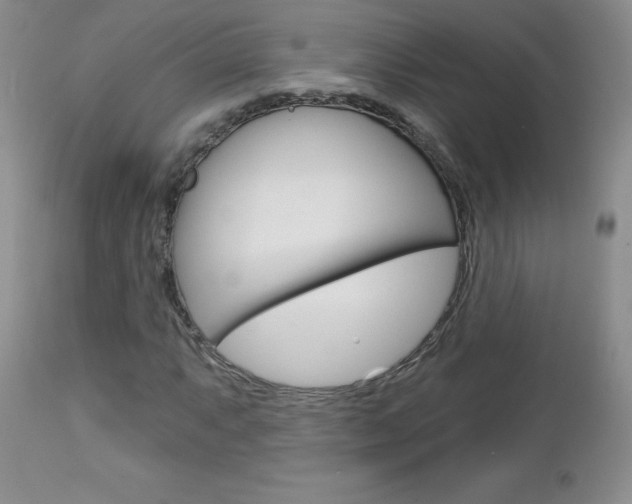 X0000112781063200908201408