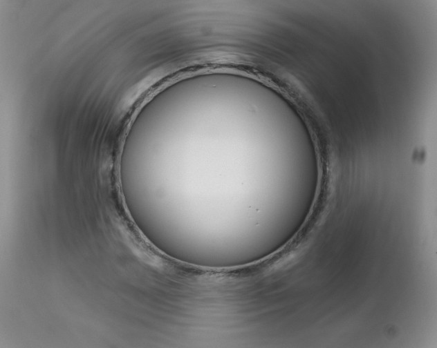 X0000112781065200908201408