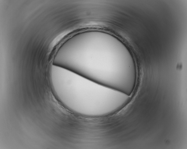 X0000112781066200908201408