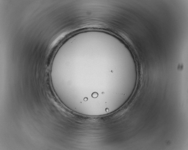 X0000112781067200908201408
