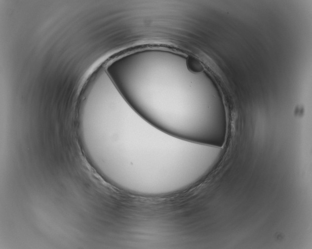 X0000112781068200908201408
