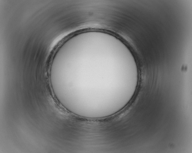 X0000112781070200908201408