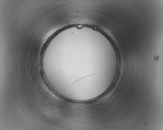 X0000112781071200908201408