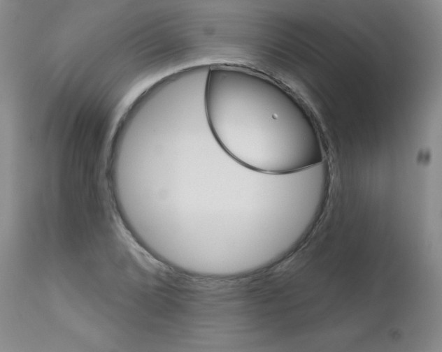 X0000112781072200908201408