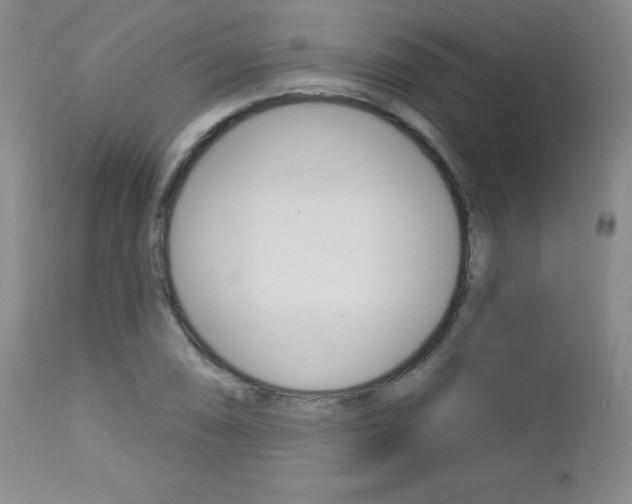 X0000112781074200908201408