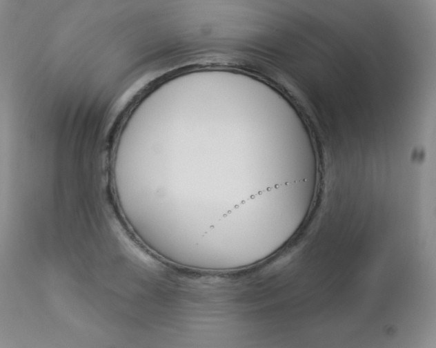 X0000112781075200908201408