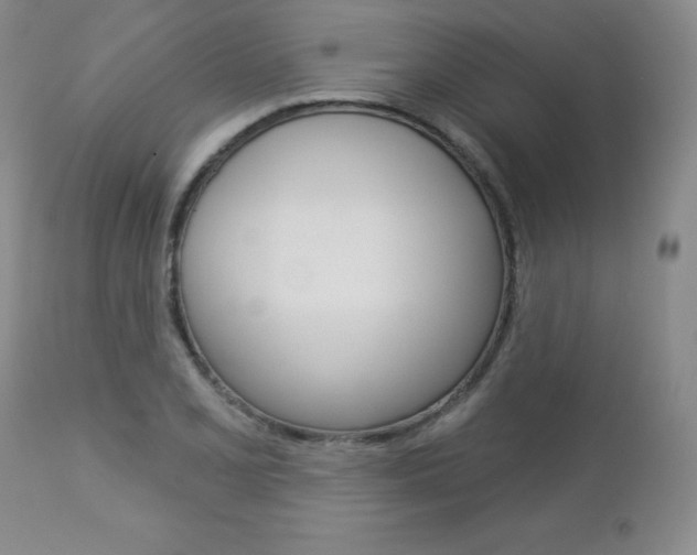 X0000112781077200908201408