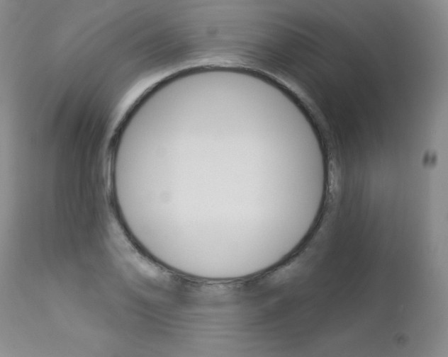 X0000112781078200908201408