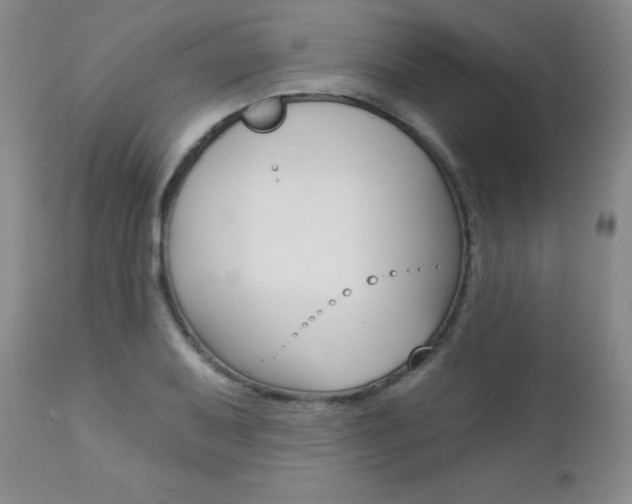X0000112781079200908201408