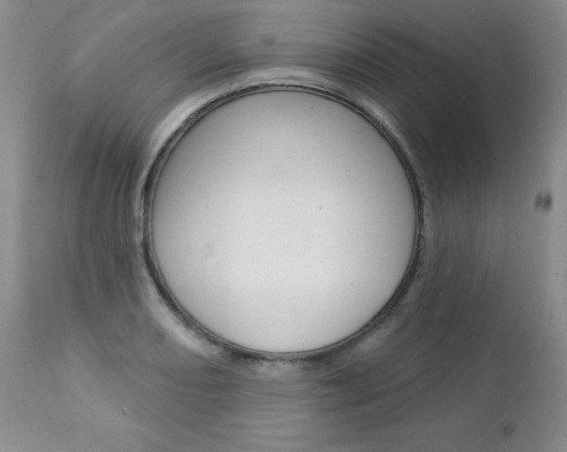 X0000112781082200908201408