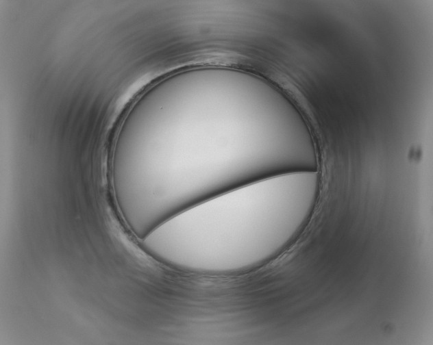 X0000112781083200908201408