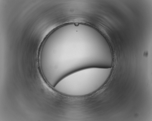 X0000112781087200908201408