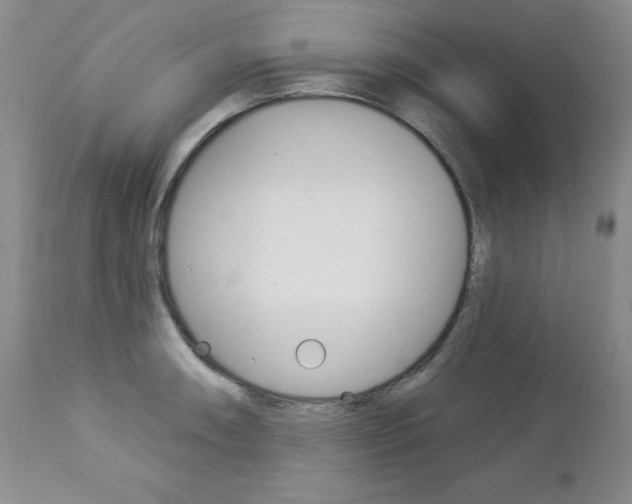 X0000112781090200908201408