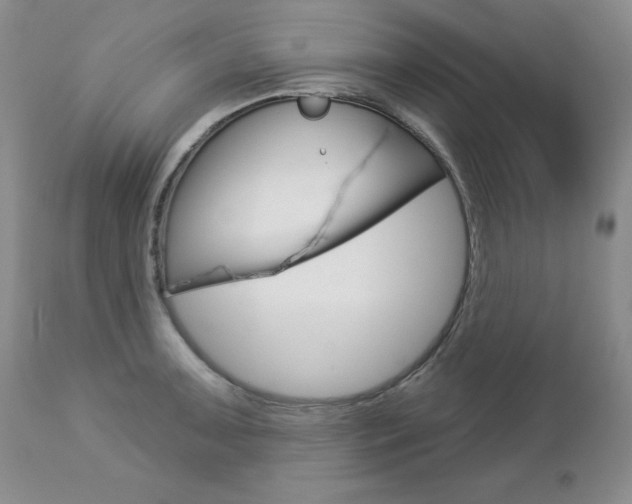 X0000112781091200908201408