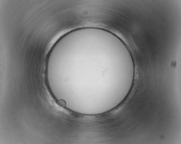 X0000112781094200908201408