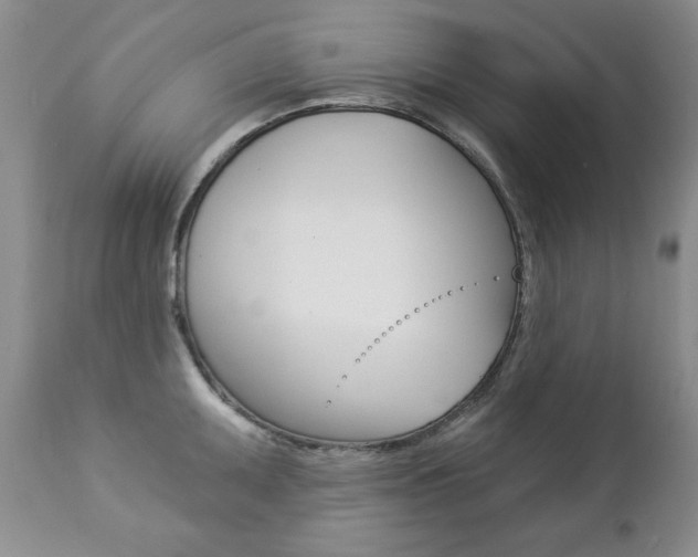 X0000112781095200908201408