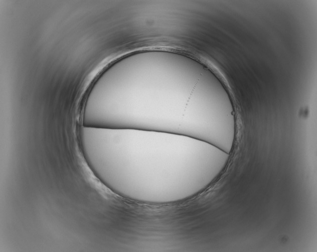 X0000112781099200908201408